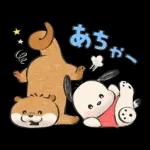 可愛い嘘のカワウソ×サンリオキャラ