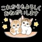冬の毎日と年末年始☆猫たちのスタンプ