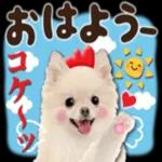 おはようございます♡