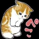 今日は猫カレーの日3