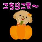 可愛い犬さん〜よろしくね！！