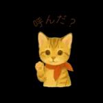 子猫のとらの日常スタンプ
