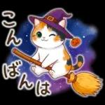 三毛猫のつめあわせ【秋】