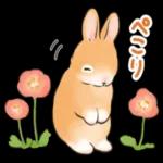 可愛いウサギ🐰からのメッセージ