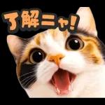 可愛い猫スタンプ！！