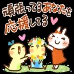 夏・天気✨【白うさぎ＆時々インコ】