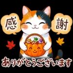 三毛猫のつめあわせ【秋】