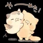 いつも前向きで頑張りや！