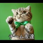 ENFPにゃんこスタンプ