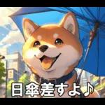 夏の天気をお知らせする柴犬【便利・日常】