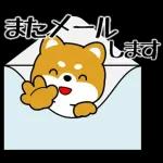 豆柴「夏を感じる」