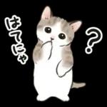 毎日☆猫たちのスタンプ