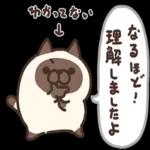 ニャー星人の楽園🤩🤩