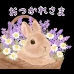 めっちゃ可愛い🫣🫣🫣