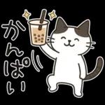 猫ちゃんとスイーツと夏