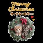 大きく表示♡冬にゃんこ