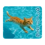 ゆっくり過ごしてくださいね🌿