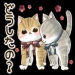 仲良しねこ♡気使いいっぱいスタンプ_-