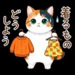 三毛猫のつめあわせ【秋】