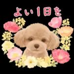 大人かわいい♡いぬと花のスタンプ