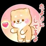 愛する人に感謝を送る❤️いやしばいぬ赤柴