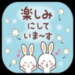 かわいいペットの爱