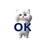 踊る！ペルシャ猫