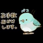 敬語が話せる！もふもふインコ