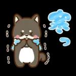 黒豆柴 あずき♡毎日使える 秋冬ver