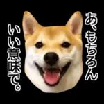 Premium 柴犬こてつ君*スタンプ第二弾