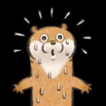 可愛い嘘のカワウソ❤️