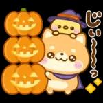秋に役立つ♡豆柴日和