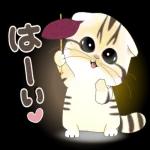 かわいい猫😺が来ますよ！