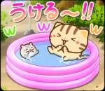 夏も飛び出す♪ ネコちゃん ハムちゃん