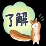 文字大きめ☆猫と動物たちのスタンプ