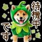 喜怒哀楽の激しい柴犬の野菜ダンス