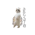 動く！踊るダジャレ猫ミーム！