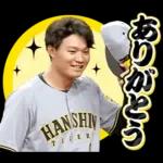 阪神タイガース