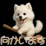 白いモフモフ～その名はサモエド！２