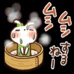 夏・天気✨【白うさぎ＆時々インコ】