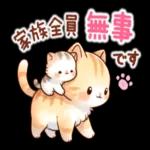 😍憧れ💕アルバム