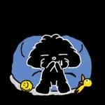 会話がはずむ使いやすい一言☆