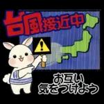 ラブリーうさぎさん ♡ 夏・ブルー