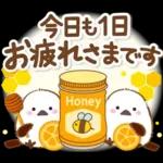 シマエナガの毎日の健康管理と疲労を応援♪