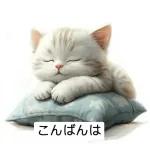 かわいい子猫がおはようございます