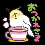 可愛いインコちゃんと一緒に冬を過ごしましょう！