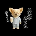 ずっと使える♡夏のチワワ