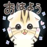 水分補給
・しっかり
ね!