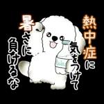 動く犬さん 2025 「暑い夏」