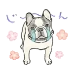 【動く】毎日使えるフレンチブルドッグ